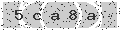 verify code